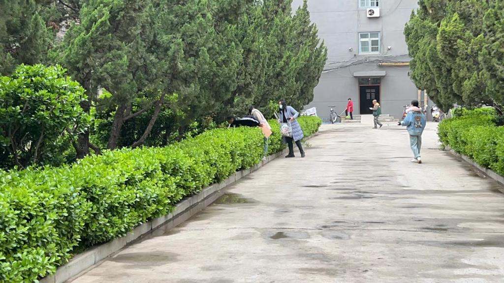 M88官网登录入口