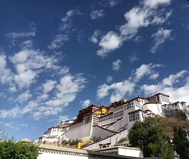 M88官网登录入口